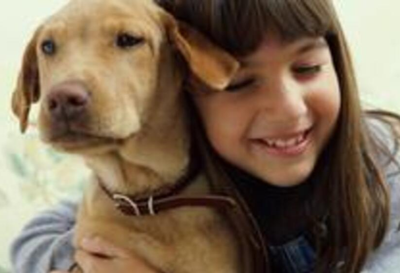 Madra Mor Spa Mud Services