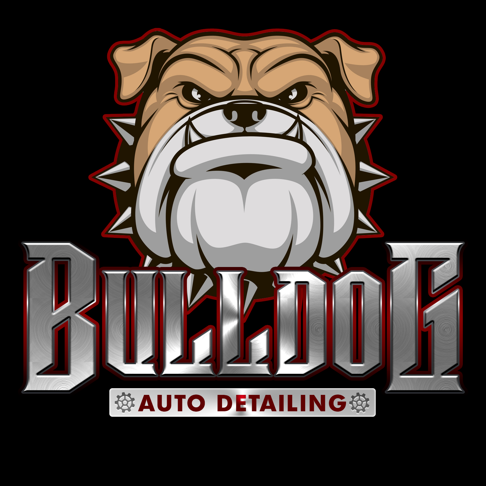 Bulldog Auto Detailing in Waco, TX