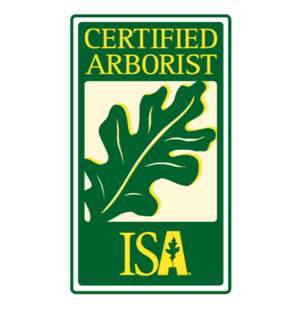 Certified Arborist