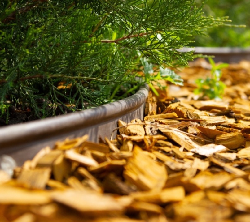 Timberline Landscaping Lawn Care Service in Rockford , MI