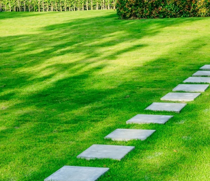 Timberline Landscaping Lawn Care Service in Rockford , MI