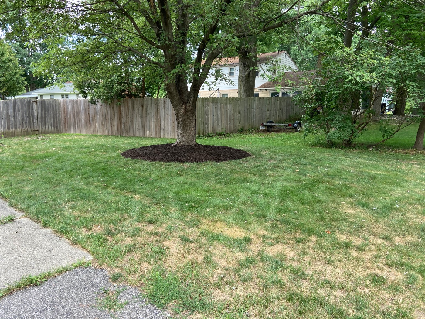 Timberline Landscaping Lawn Care Service in Rockford , MI