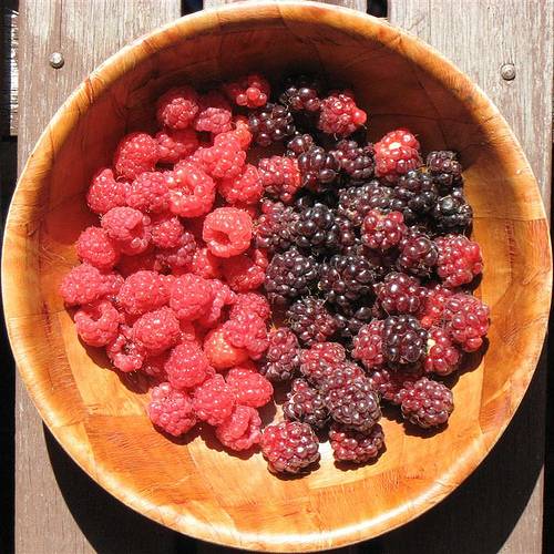 Raspberry and Blackberry