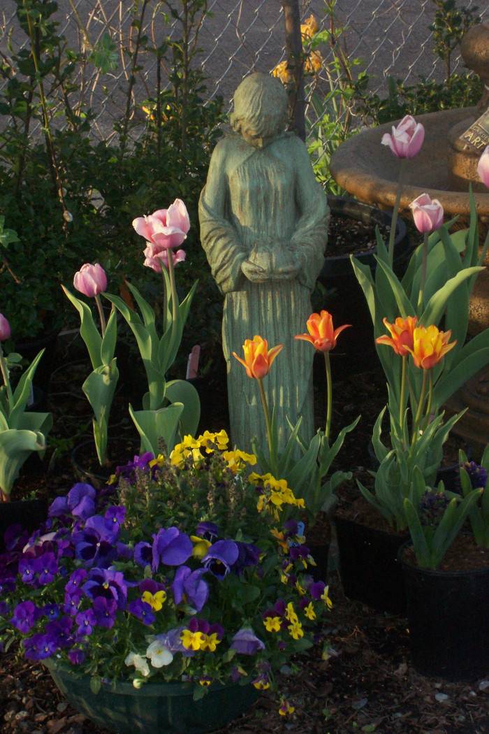 OUR PRODUCTS Westwood Gardens Nursery And Garden Art Plant Nursery