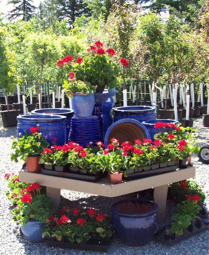 OUR PRODUCTS Westwood Gardens Nursery And Garden Art Plant Nursery