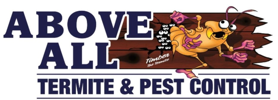 Termite Control And Treatment In Bradley Beach Home Injecting