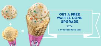 Baskin Robins Baskin Robins