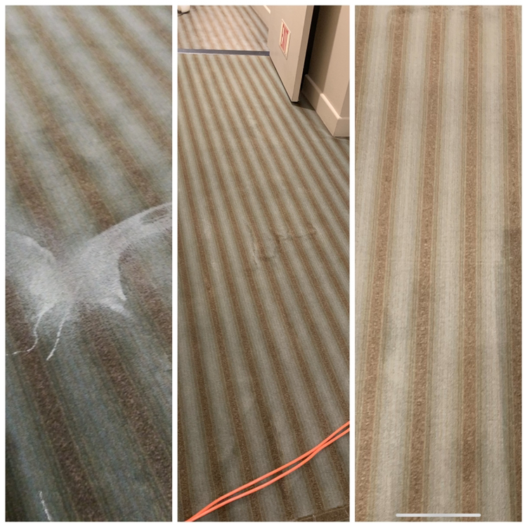 Brite Spots Carpet Care Carpet Cleaning Service in Temple city, CA