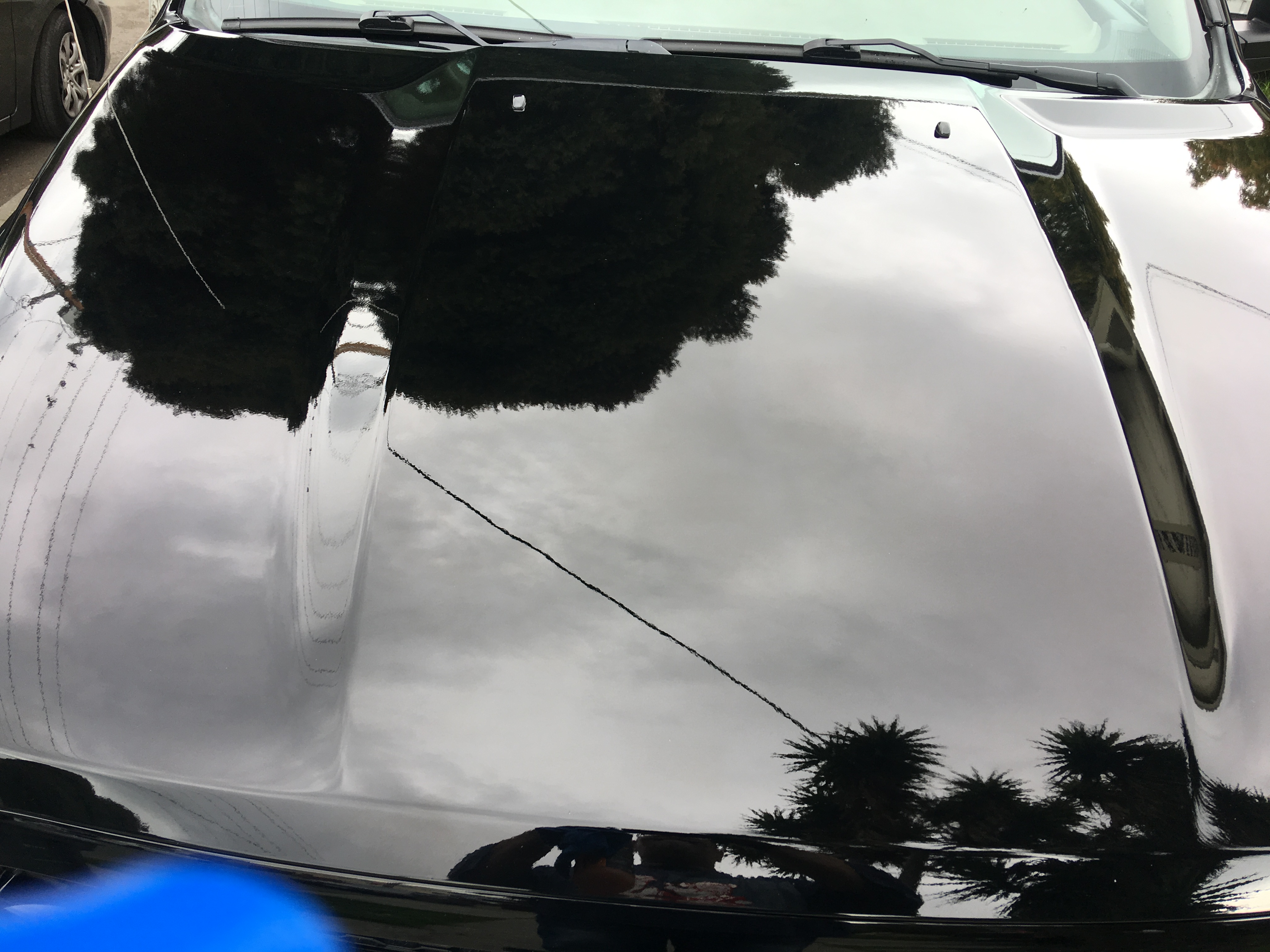 Need help regarding fixing scratches! This morning I scratched my car and  this was the result. The autoshop told me they could repair this for $250.  I was wondering if there is