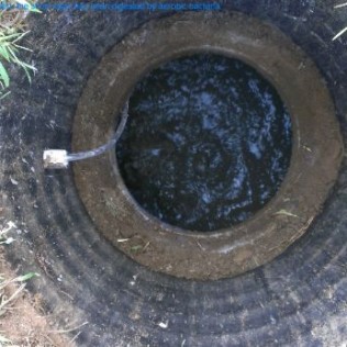 septic septic