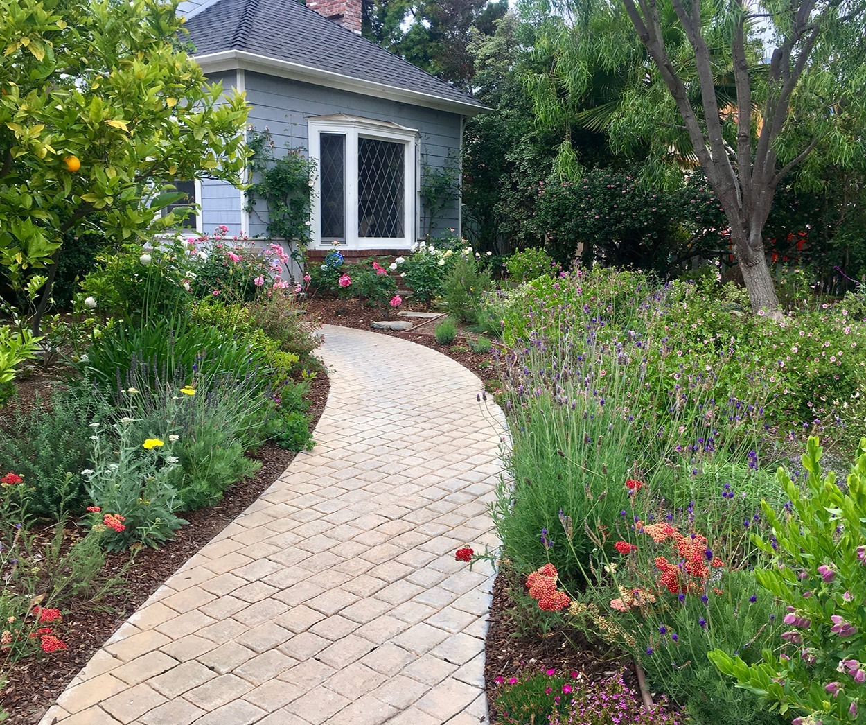 Garden Design Garden Design