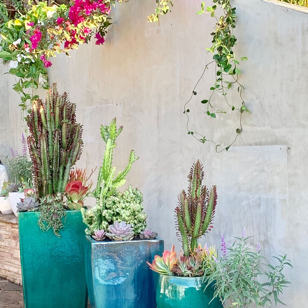 Dirt Beauty