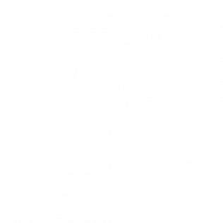 Septic System Repairs