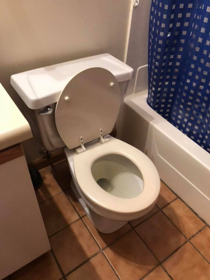 A Goat Cleaning Services House Cleaning Service in Indianapolis, IN