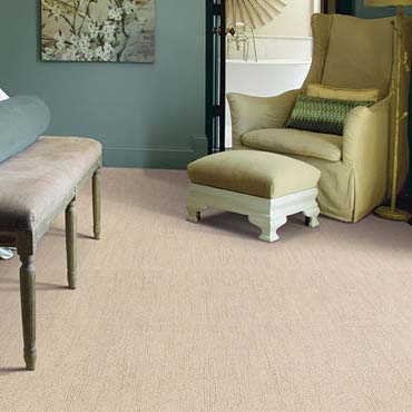 Caress Carpet by Shaw Caress Carpet by Shaw
