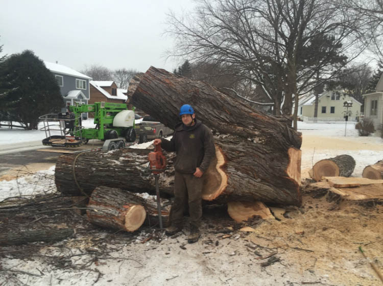 Arbor Barber Tree Service Tree Service in Lakeville, MN