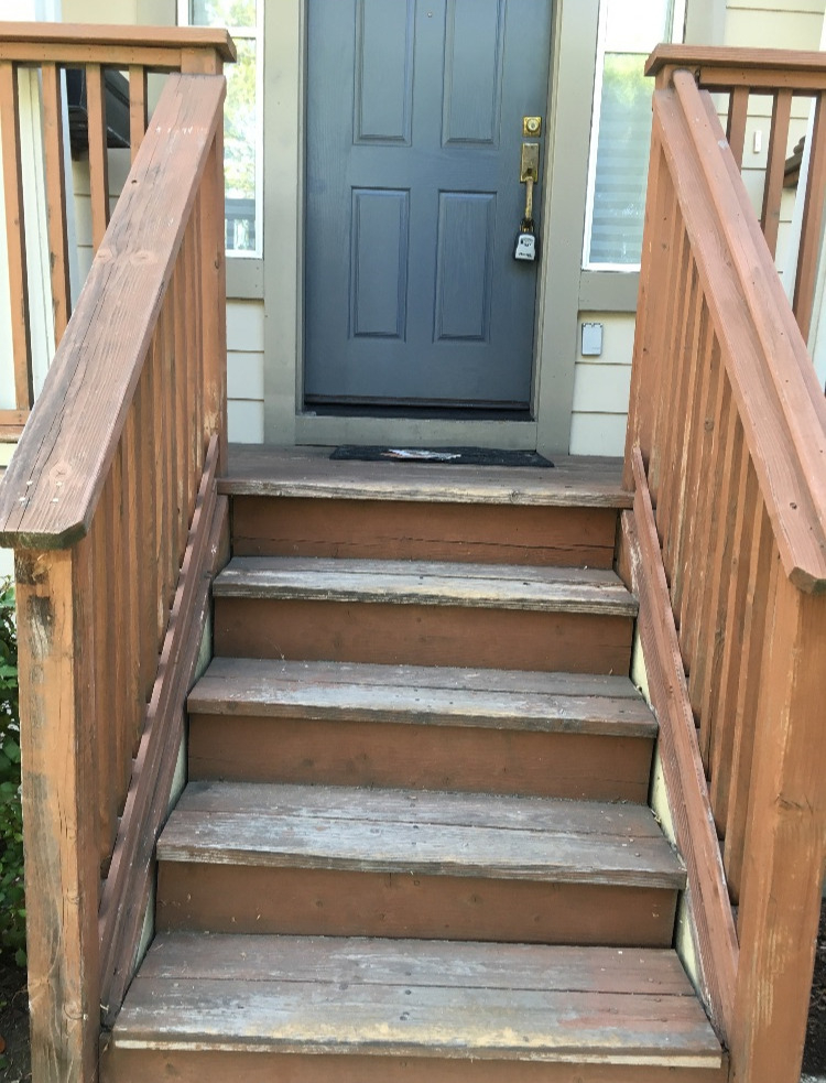 Fence & Deck Restoration