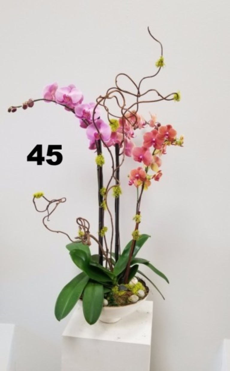 RP93