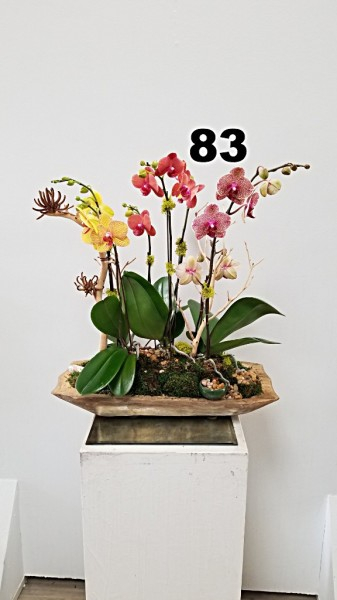 RP54