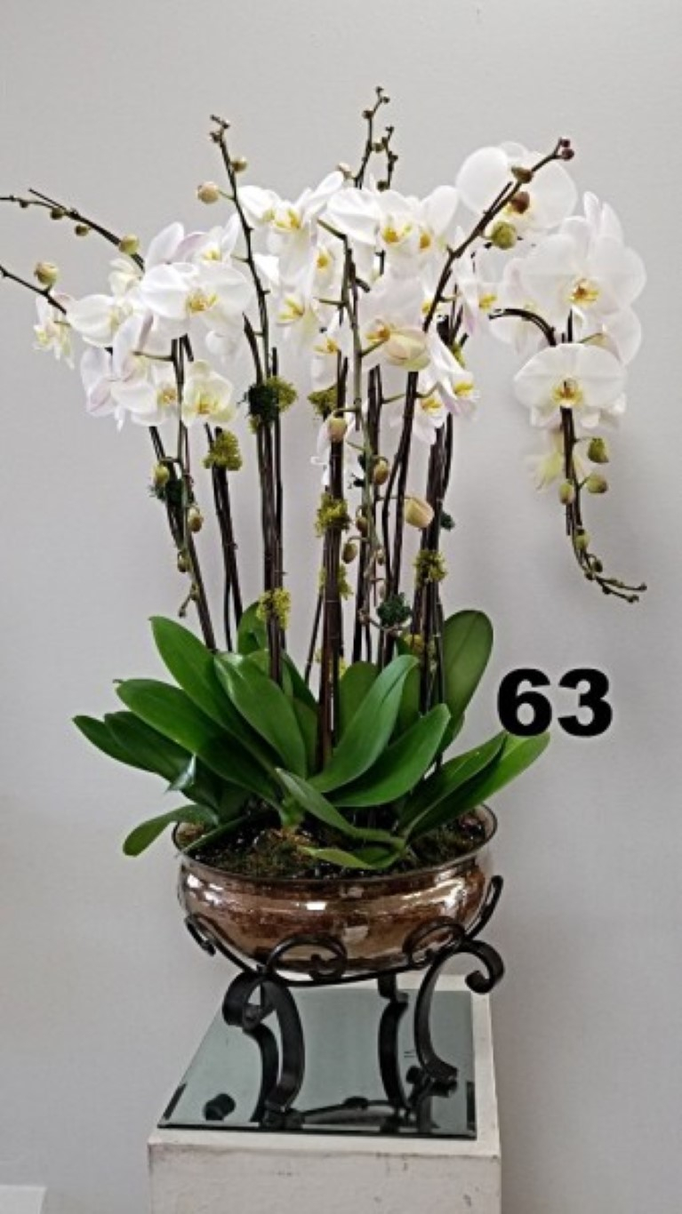 RP74