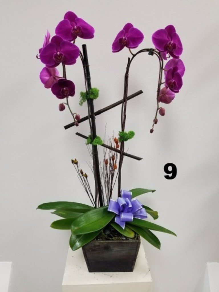 RP129