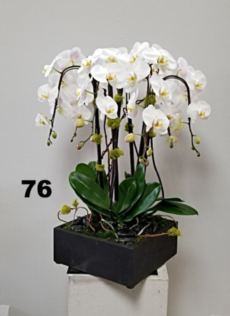 RP58