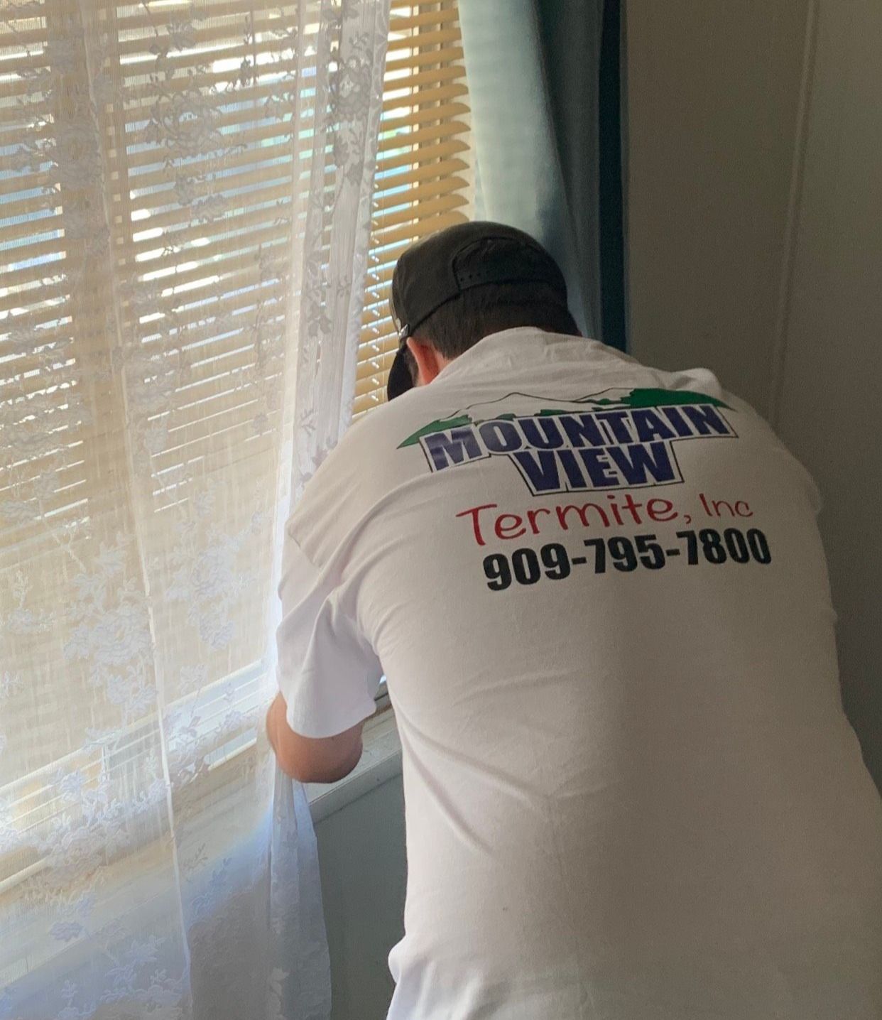 Termite Inspections For Real Estate