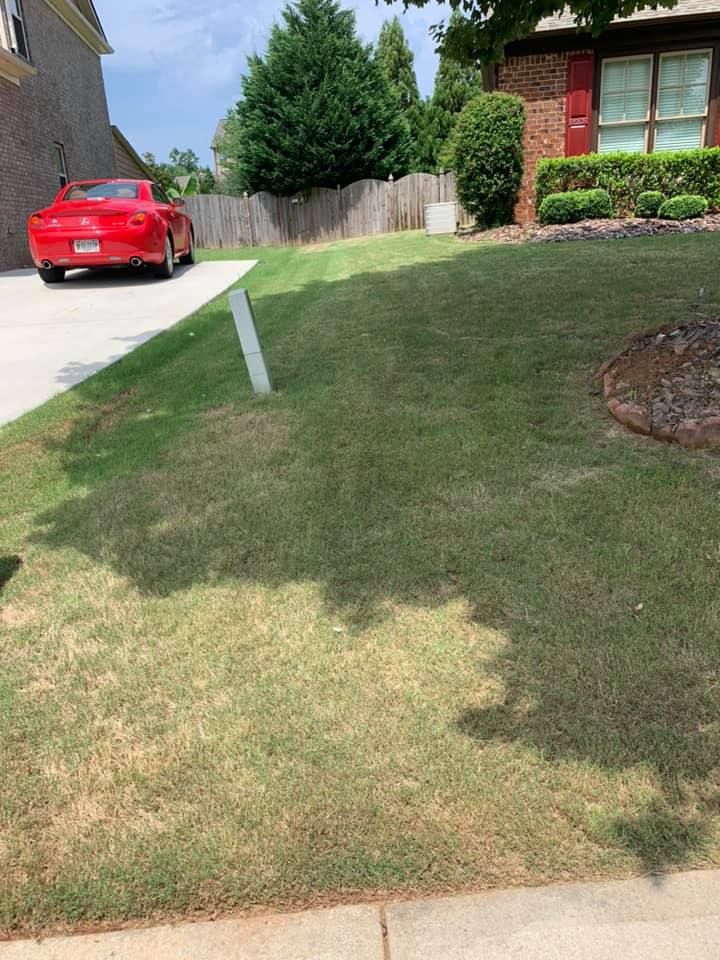 Reyes Lawn Care, LLC 5